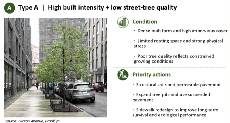 Unequal Urban Nature in NYC preview